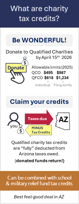Arizona tax credit for charities overview